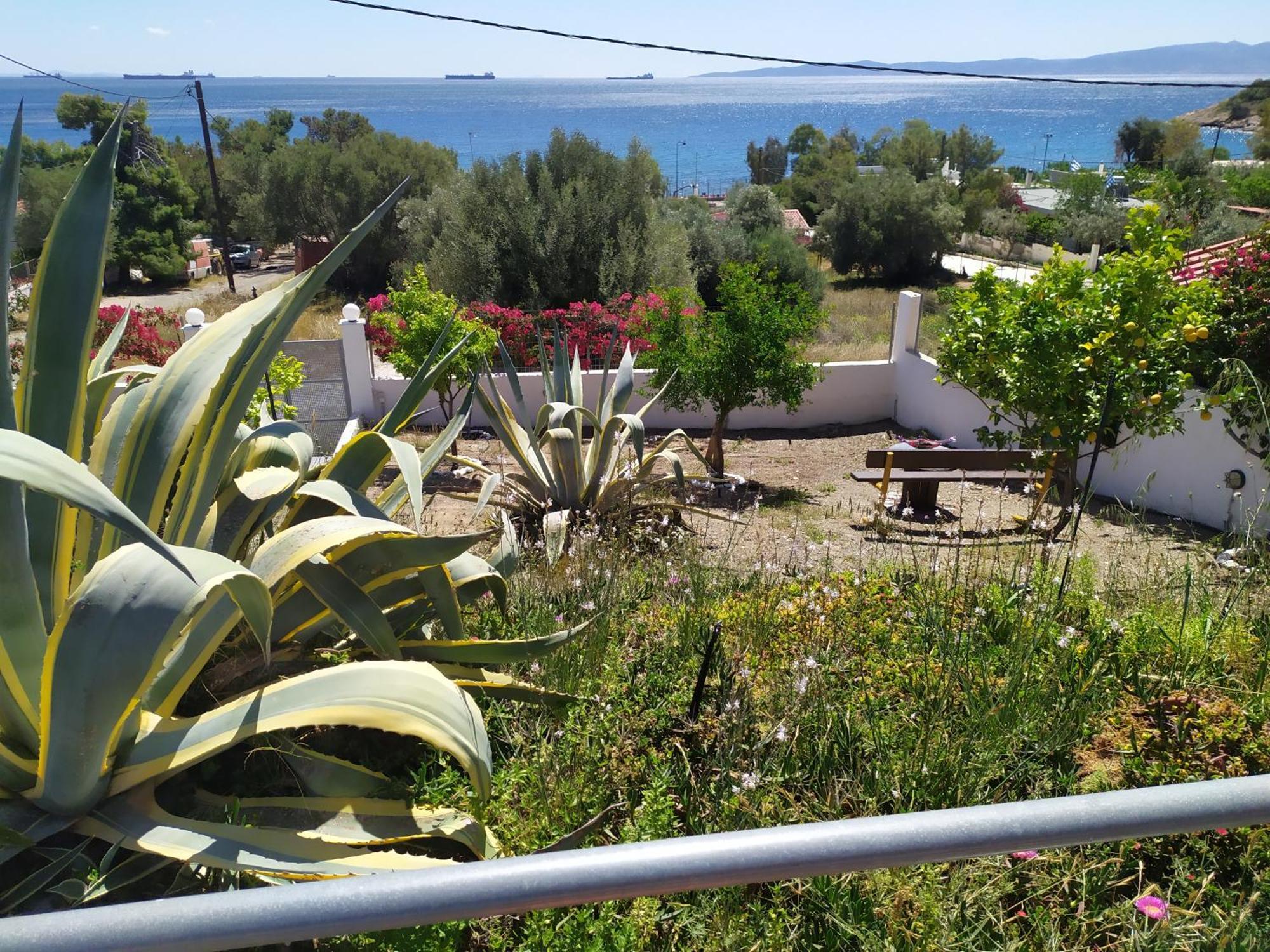 Thalassa Panagia  Exterior photo